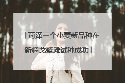 菏泽三个小麦新品种在新疆戈壁滩试种成功