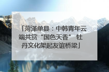 菏泽单县：中韩青年云端共赏“国色天香” 牡丹文化架起友谊桥梁