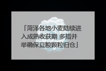 菏泽各地小麦陆续进入成熟收获期 多措并举确保夏粮颗粒归仓