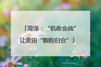 菏泽：“机收会战”让麦田“颗粒归仓”