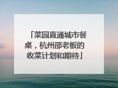菜园直通城市餐桌，杭州邵老板的收菜计划和期待