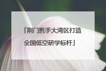 荆门携手大湾区打造全国低空研学标杆