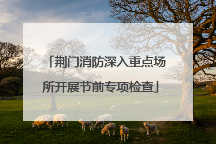 荆门消防深入重点场所开展节前专项检查
