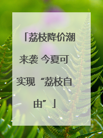 荔枝降价潮来袭 今夏可实现“荔枝自由”