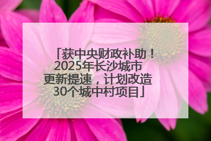 获中央财政补助！2025年长沙城市更新提速，计划改造30个城中村项目