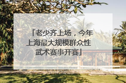 老少齐上场，今年上海最大规模群众性武术赛事开赛
