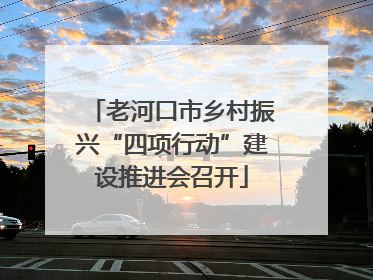 老河口市乡村振兴“四项行动”建设推进会召开