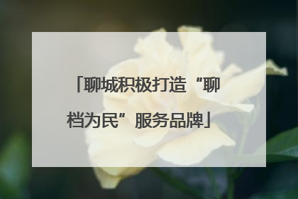聊城积极打造“聊档为民”服务品牌