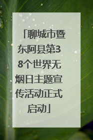 聊城市暨东阿县第38个世界无烟日主题宣传活动正式启动
