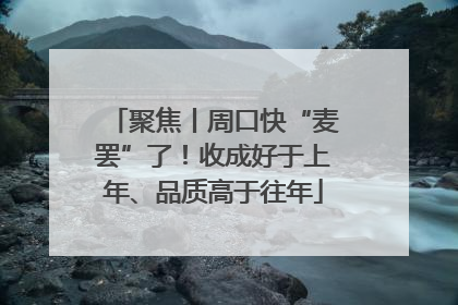 聚焦丨周口快“麦罢”了！收成好于上年、品质高于往年