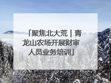 聚焦北大荒｜青龙山农场开展财审人员业务培训