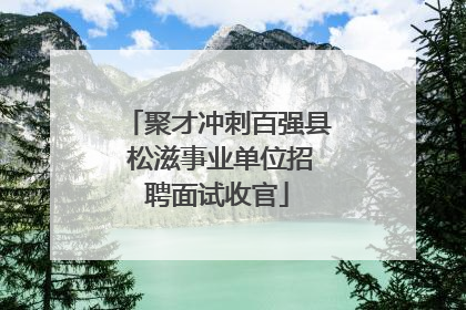 聚才冲刺百强县 松滋事业单位招聘面试收官