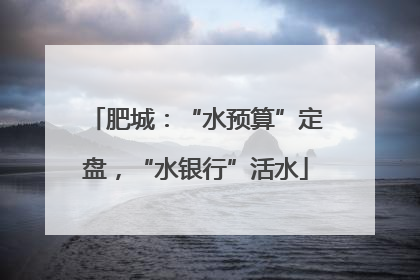 肥城：“水预算”定盘，“水银行”活水