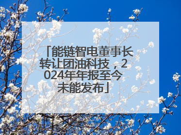 能链智电董事长转让团油科技，2024年年报至今未能发布
