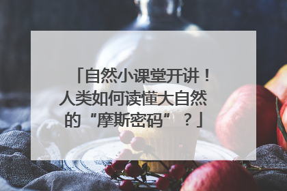 自然小课堂开讲！人类如何读懂大自然的“摩斯密码”？