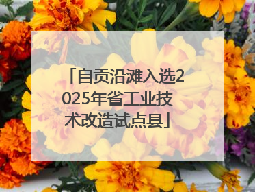 自贡沿滩入选2025年省工业技术改造试点县