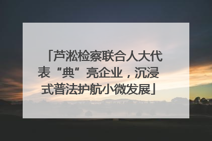 芦淞检察联合人大代表“典”亮企业，沉浸式普法护航小微发展