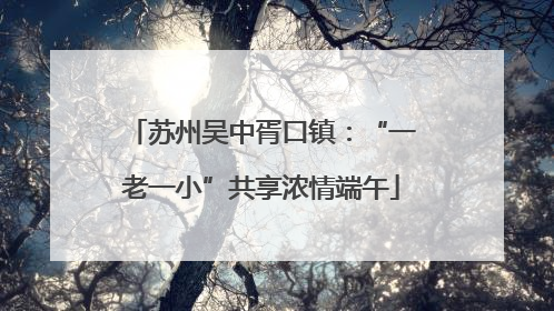 苏州吴中胥口镇：“一老一小”共享浓情端午
