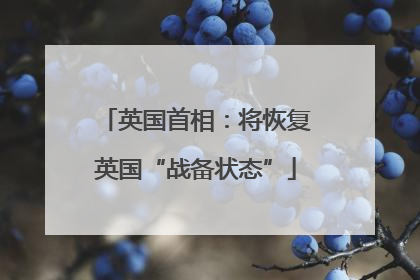 英国首相：将恢复英国“战备状态”
