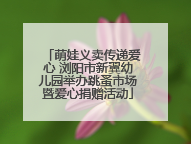萌娃义卖传递爱心 浏阳市新翼幼儿园举办跳蚤市场暨爱心捐赠活动
