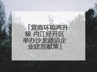营商环境再升级 内江经开区举办沙龙邀请企业建言献策