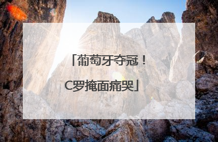 葡萄牙夺冠！C罗掩面痛哭