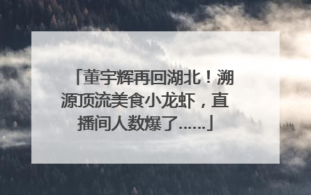 董宇辉再回湖北！溯源顶流美食小龙虾，直播间人数爆了……