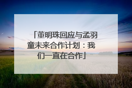 董明珠回应与孟羽童未来合作计划：我们一直在合作