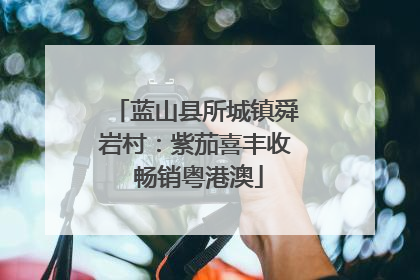 蓝山县所城镇舜岩村：紫茄喜丰收 畅销粤港澳