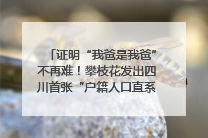 证明“我爸是我爸”不再难！攀枝花发出四川首张“户籍人口直系亲属关系谱”