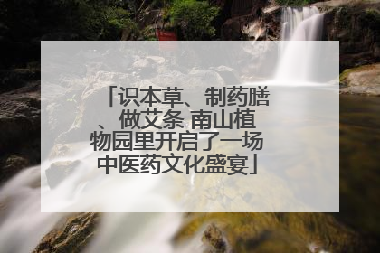 识本草、制药膳、做艾条 南山植物园里开启了一场中医药文化盛宴