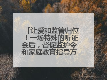 让爱和监管归位！一场特殊的听证会后，督促监护令和家庭教育指导方案同时送达