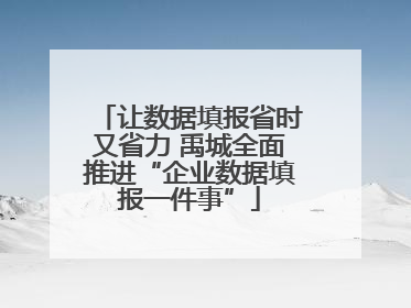 让数据填报省时又省力 禹城全面推进“企业数据填报一件事”