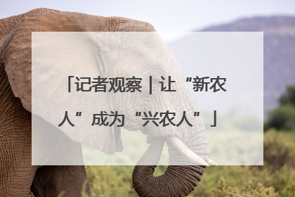 记者观察｜让“新农人”成为“兴农人”