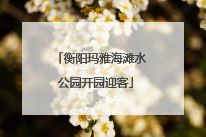 衡阳玛雅海滩水公园开园迎客