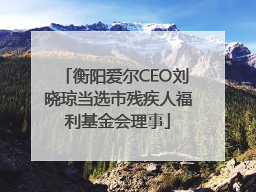 衡阳爱尔CEO刘晓琼当选市残疾人福利基金会理事