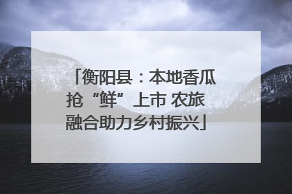 衡阳县：本地香瓜抢“鲜”上市 农旅融合助力乡村振兴