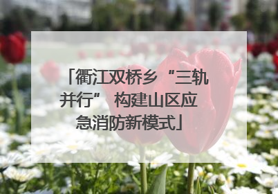 衢江双桥乡“三轨并行” 构建山区应急消防新模式