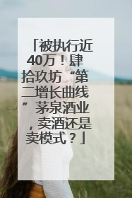 被执行近40万！肆拾玖坊“第二增长曲线”茅泉酒业，卖酒还是卖模式？