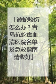 被蛇咬伤怎么办？青岛抗蛇毒血清医院名单及急救指南请收好