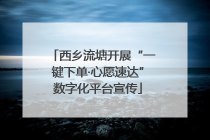 西乡流塘开展“一键下单·心愿速达”数字化平台宣传