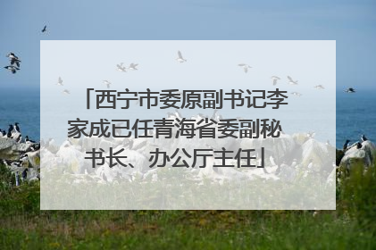 西宁市委原副书记李家成已任青海省委副秘书长、办公厅主任