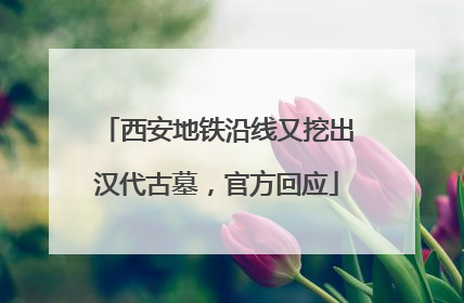 西安地铁沿线又挖出汉代古墓，官方回应