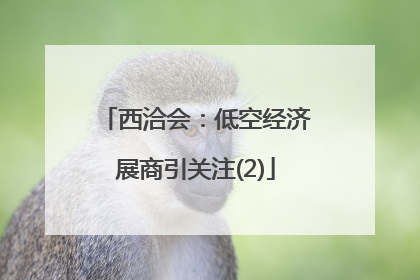 西洽会：低空经济展商引关注(2)