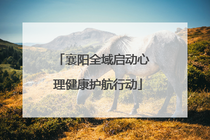 襄阳全域启动心理健康护航行动