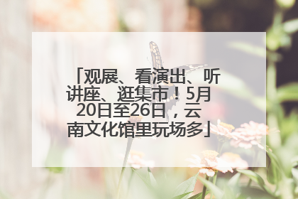观展、看演出、听讲座、逛集市！5月20日至26日，云南文化馆里玩场多