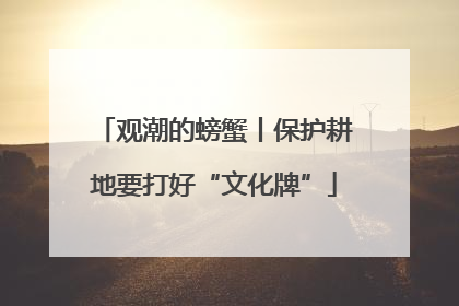 观潮的螃蟹丨保护耕地要打好“文化牌”