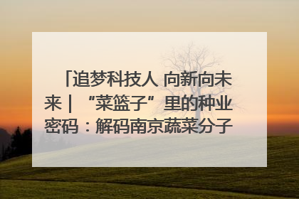 追梦科技人 向新向未来｜“菜篮子”里的种业密码：解码南京蔬菜分子育种的创新之路