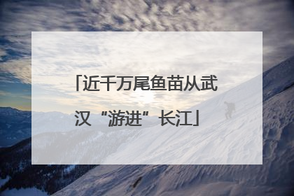 近千万尾鱼苗从武汉“游进”长江