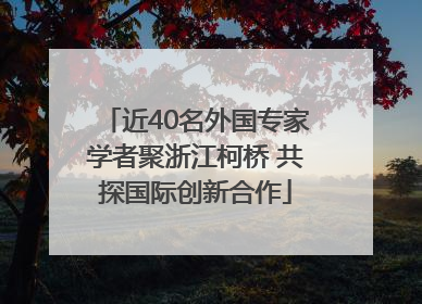近40名外国专家学者聚浙江柯桥 共探国际创新合作
